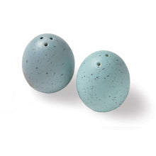Robin's Egg Salt and Pepper Set