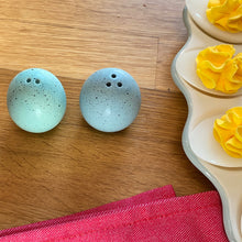 Robin's Egg Salt and Pepper Set
